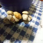 Da Nicola E Laura